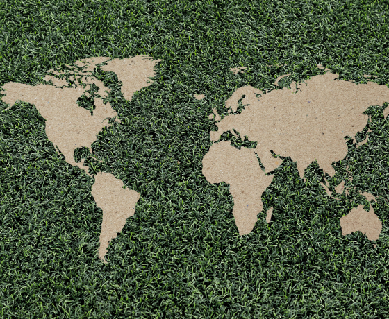 Global Networks